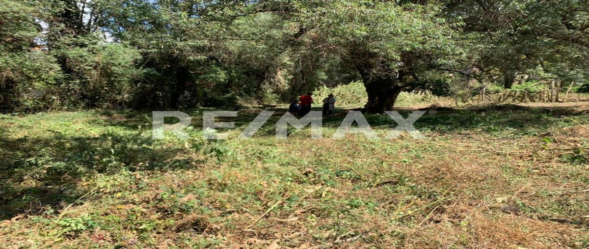 Foto de terreno habitacional en venta en el coporo , mazamitla, mazamitla, jalisco, 0 No. 05