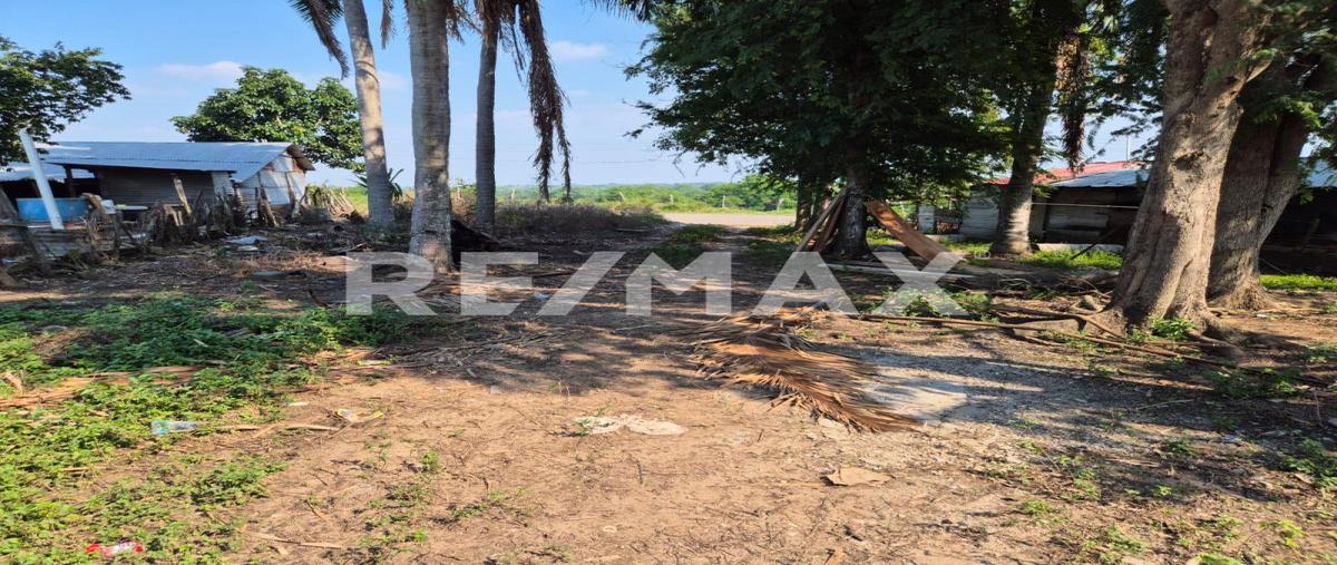 Foto de terreno habitacional en el corozal , el novillo, centro, tabasco, 0 foto 01 Foto de terreno habitacional en venta en el corozal , el novillo, centro, tabasco, 0 No. 01