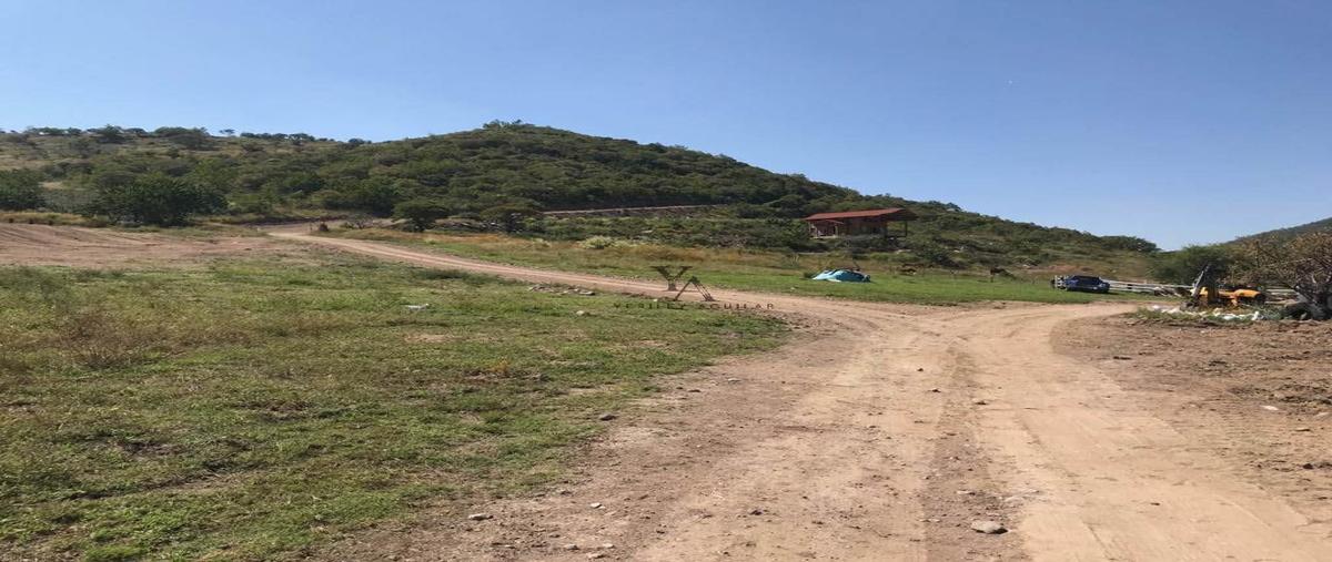 Foto de rancho en venta en el cortijo , cima del sol, tlajomulco de zúñiga, jalisco, 27007227 No. 02