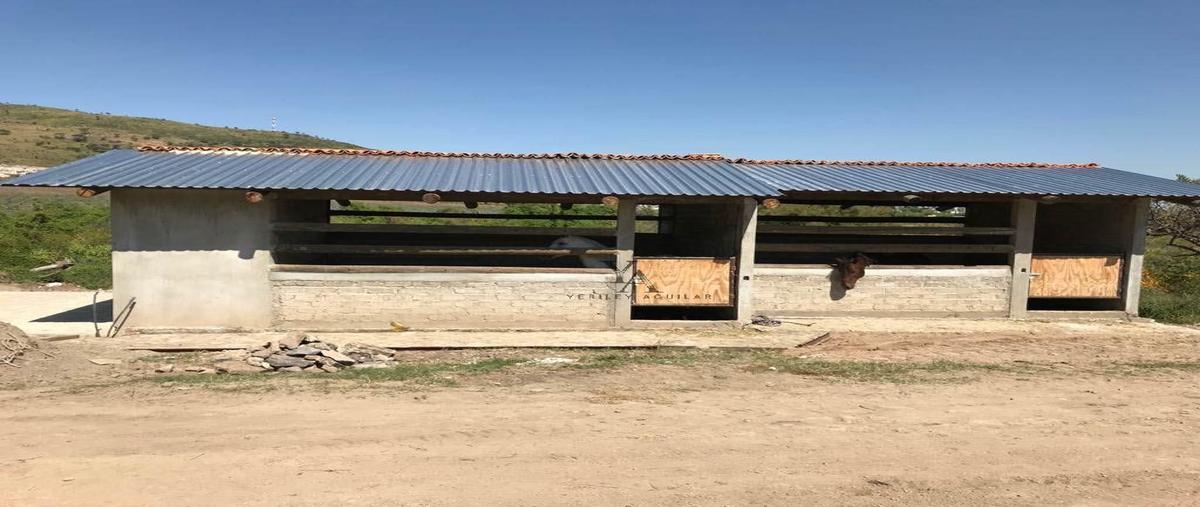 Foto de rancho en venta en el cortijo , cima del sol, tlajomulco de zúñiga, jalisco, 27007227 No. 03
