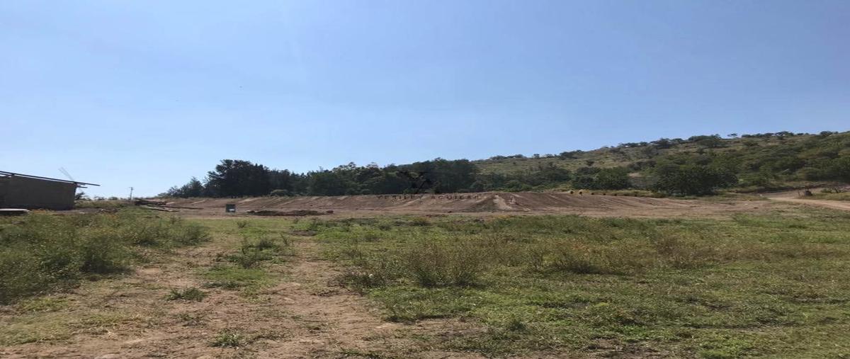 Foto de rancho en venta en el cortijo , cima del sol, tlajomulco de zúñiga, jalisco, 27007227 No. 05