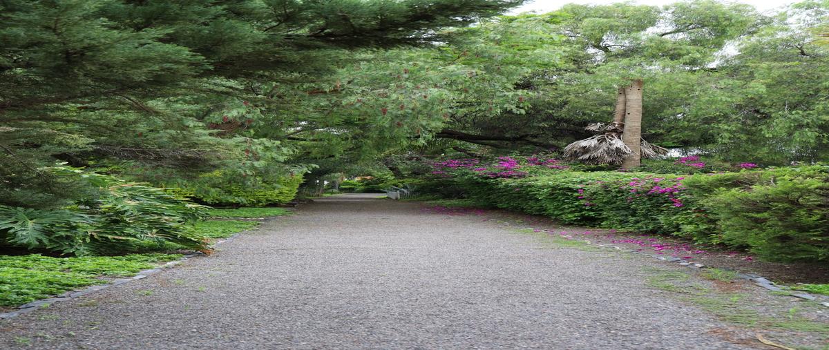 Foto de casa en , el cortijo, querétaro, querétaro, 30125201 foto 03 Foto de casa en venta en , el cortijo, querétaro, querétaro, 30125201 No. 03