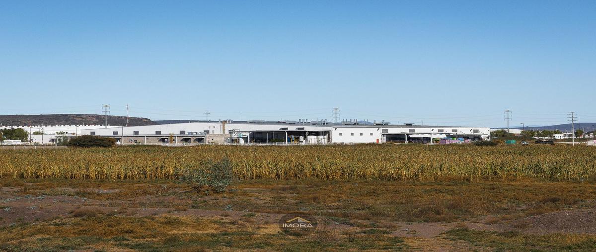Foto de terreno habitacional en venta en  , el coyme, el marqués, querétaro, 31255163 No. 03