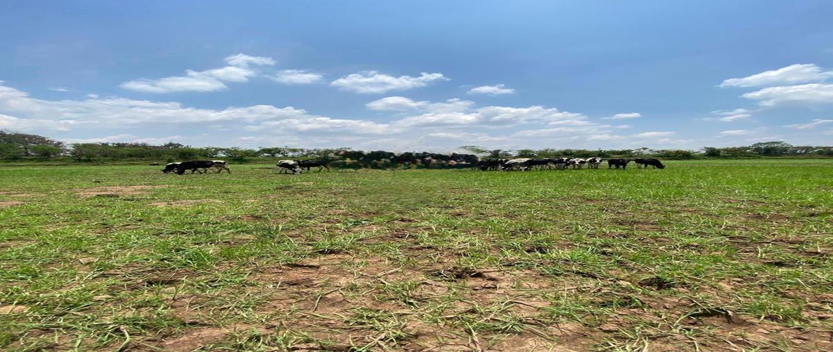 Foto de terreno habitacional en venta en el crucero de arandas , tepatitlán de morelos centro, tepatitlán de morelos, jalisco, 28674576 No. 04