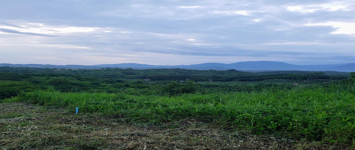 Foto de terreno habitacional en venta en  , el crucero, santa maría huatulco, oaxaca, 28414594 No. 03