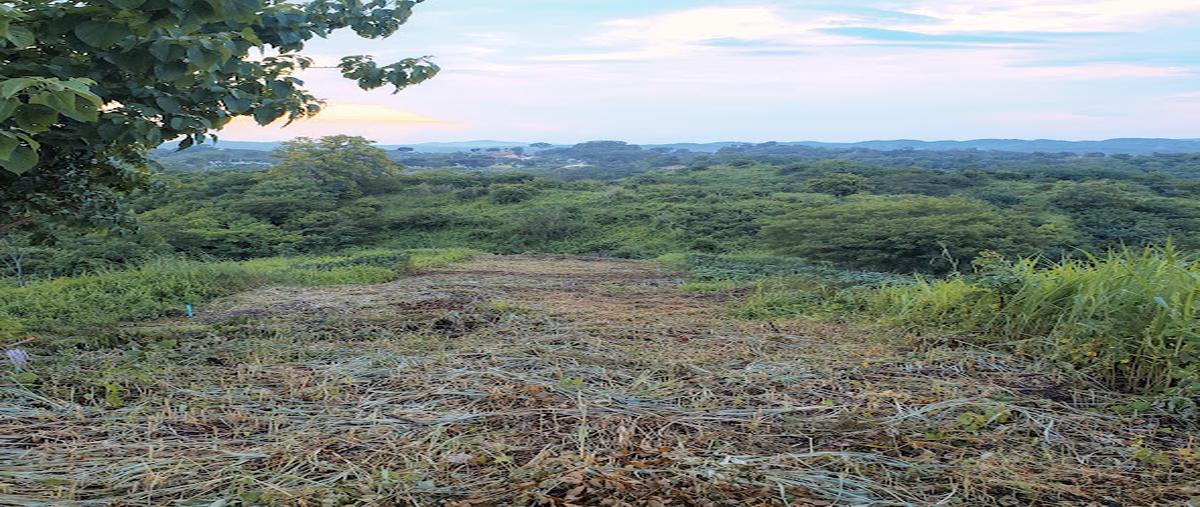 Foto de terreno habitacional en venta en  , el crucero, santa maría huatulco, oaxaca, 28414594 No. 04