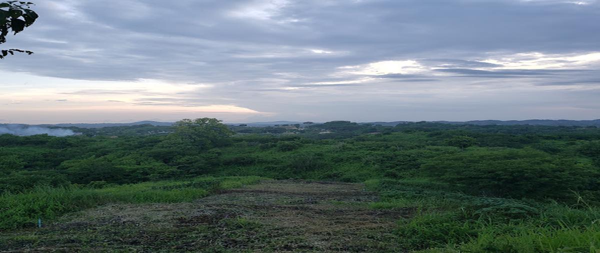 Foto de terreno habitacional en venta en  , el crucero, santa maría huatulco, oaxaca, 28414594 No. 05