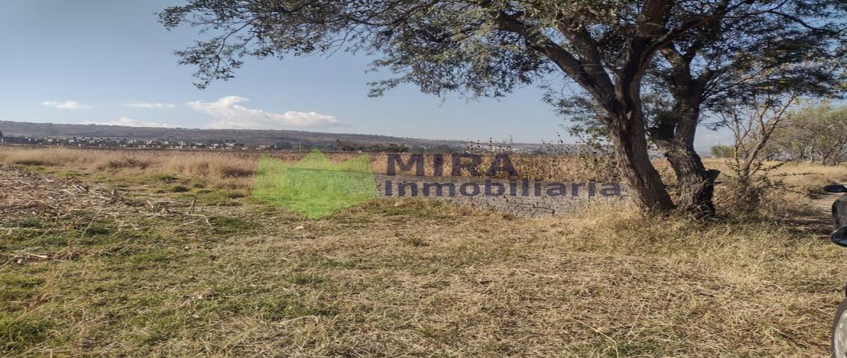 Foto de terreno habitacional en venta en  , el cuitzillo grande, tarímbaro, michoacán de ocampo, 0 No. 03