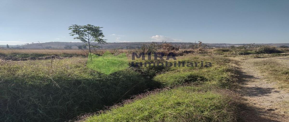 Foto de terreno habitacional en venta en  , el cuitzillo grande, tarímbaro, michoacán de ocampo, 0 No. 05
