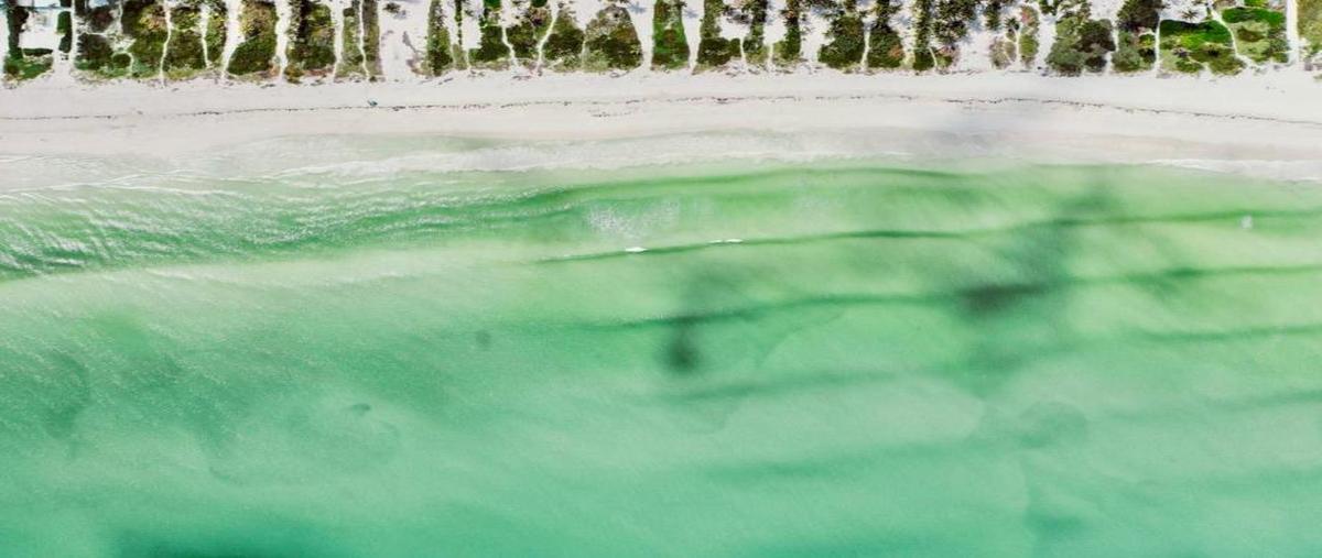 Foto de terreno comercial en venta en el cuyo 1, el cuyo, tizimín, yucatán, 0 No. 04