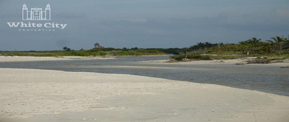 Foto de terreno habitacional en venta en  , el cuyo, tizimín, yucatán, 27680915 No. 04