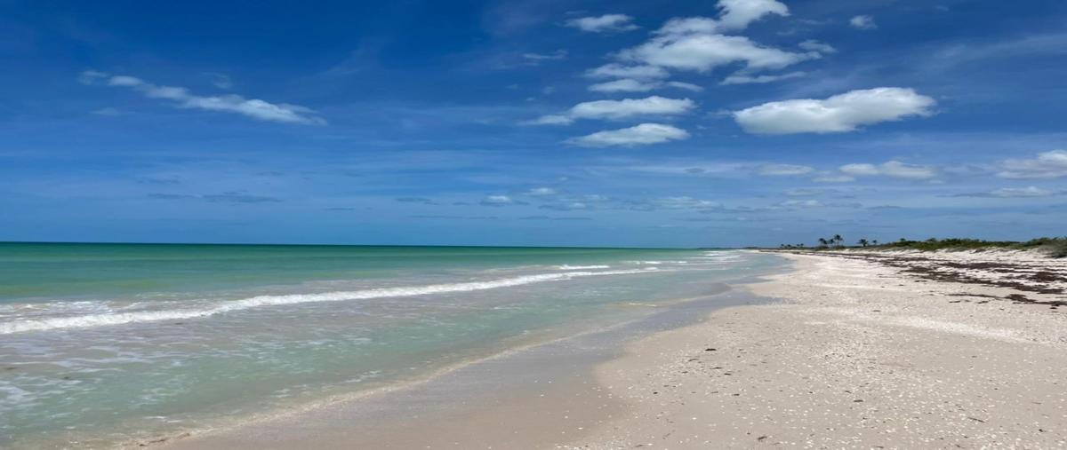 Foto de terreno habitacional en venta en  , el cuyo, tizimín, yucatán, 27790401 No. 03