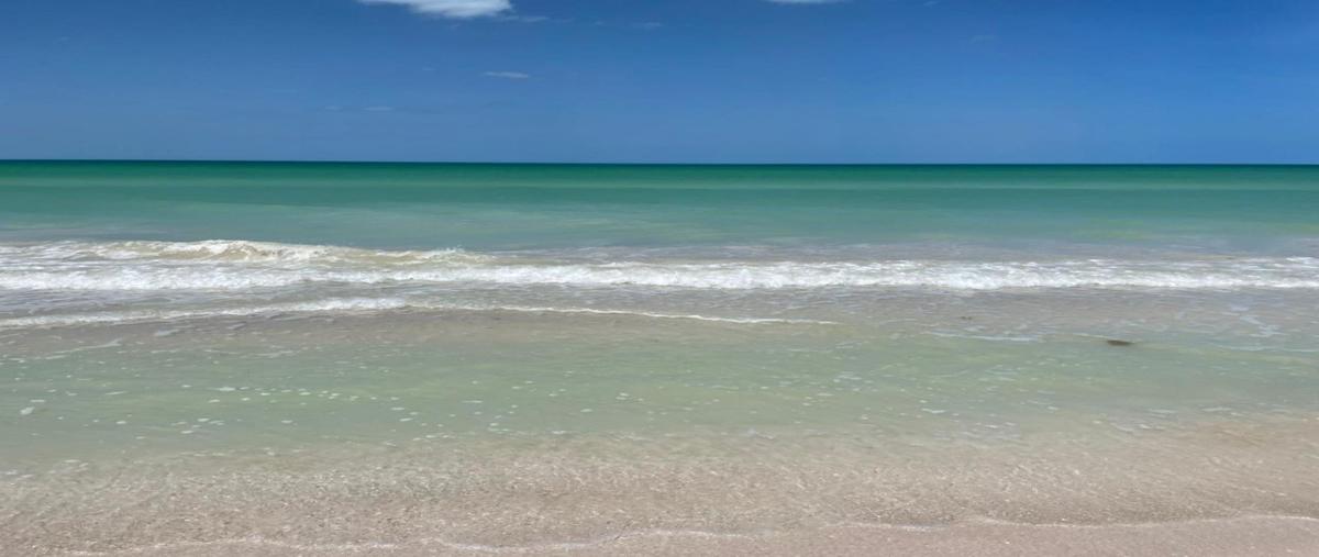 Foto de terreno habitacional en venta en  , el cuyo, tizimín, yucatán, 27790401 No. 04