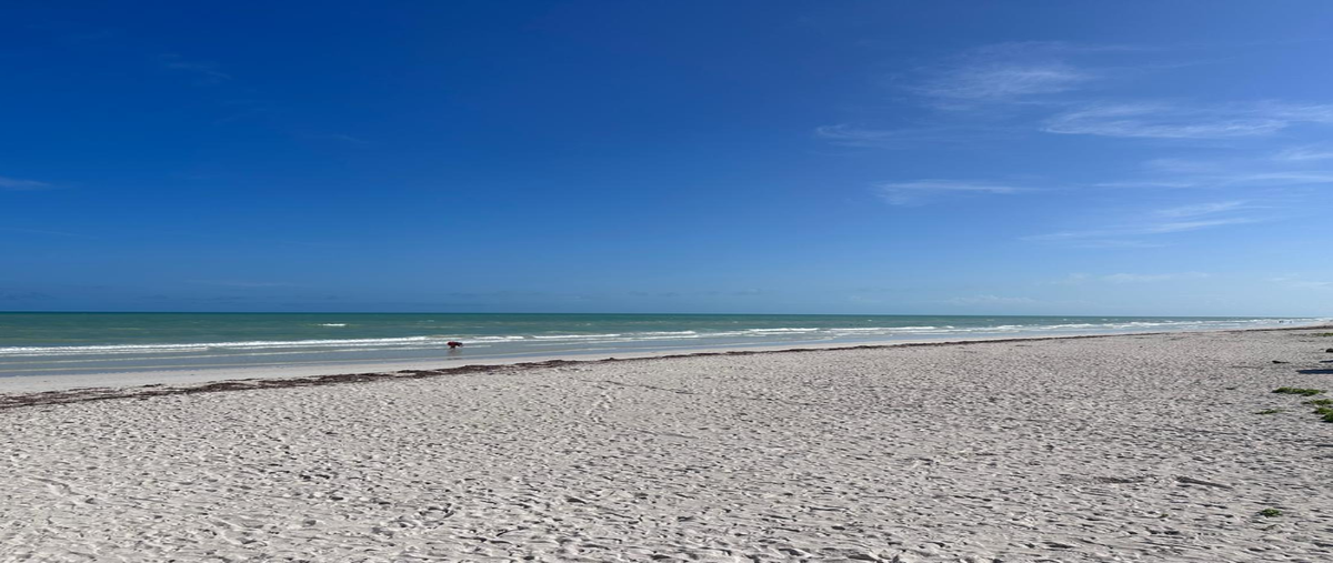 Foto de terreno habitacional en venta en  , el cuyo, tizimín, yucatán, 0 No. 05
