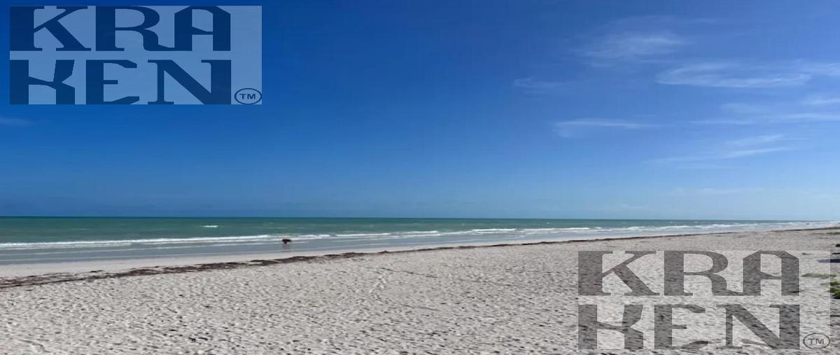 Foto de terreno habitacional en venta en  , el cuyo, tizimín, yucatán, 30078420 No. 05