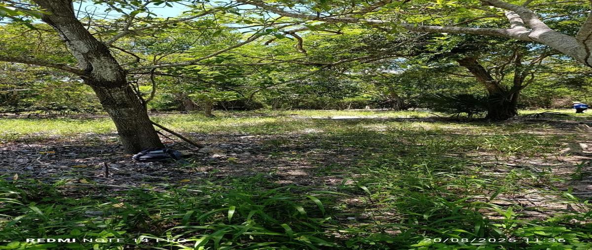 Foto de terreno habitacional en venta en  , el cuyo, tizimín, yucatán, 0 No. 04