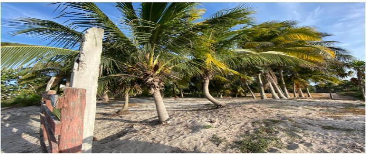 Foto de terreno habitacional en venta en  , el cuyo, tizimín, yucatán, 0 No. 03