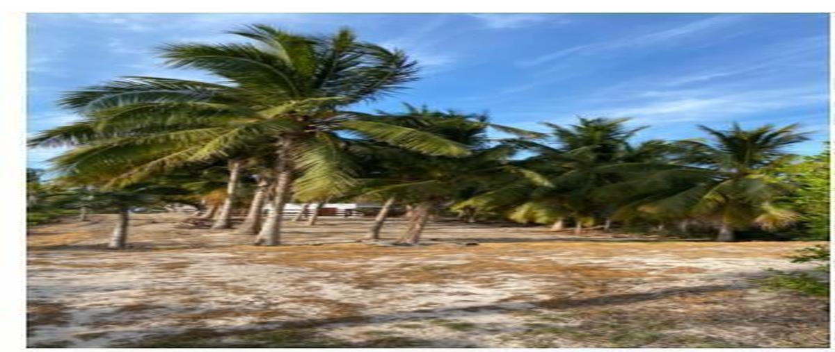 Foto de terreno habitacional en venta en  , el cuyo, tizimín, yucatán, 0 No. 04