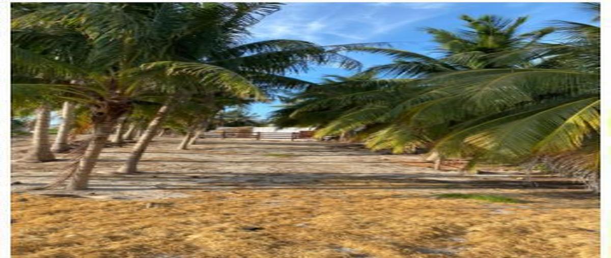 Foto de terreno habitacional en venta en  , el cuyo, tizimín, yucatán, 0 No. 05
