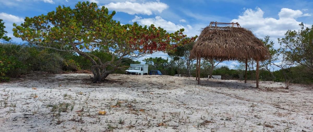 Foto de terreno habitacional en venta en el cuyo yucatan , el cuyo, tizimín, yucatán, 27039325 No. 03