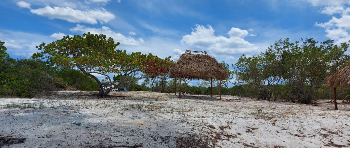Foto de terreno habitacional en venta en el cuyo yucatan , el cuyo, tizimín, yucatán, 27039325 No. 04