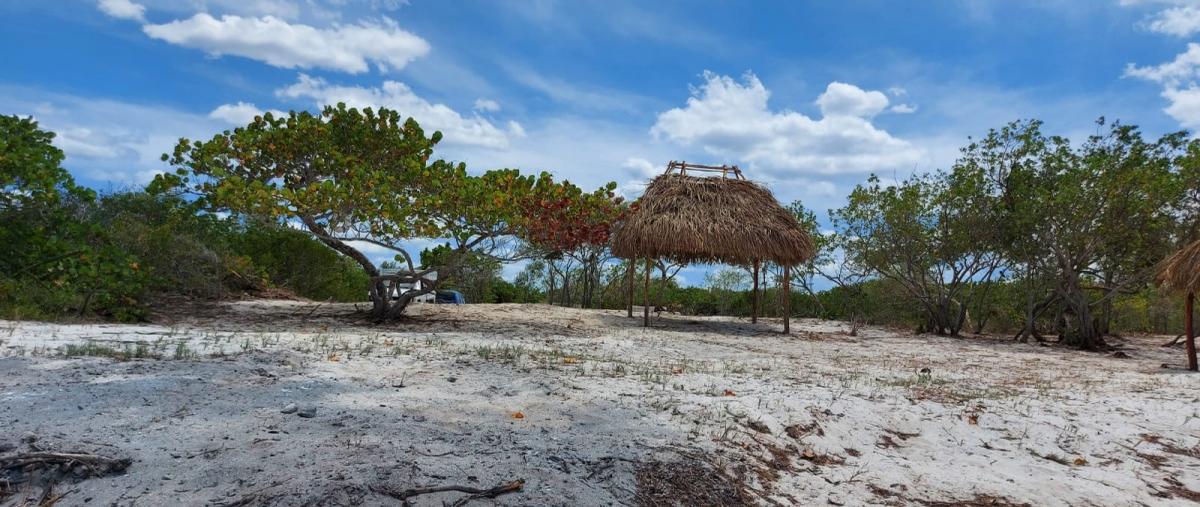 Foto de terreno habitacional en venta en el cuyo yucatan , el cuyo, tizimín, yucatán, 27039325 No. 05