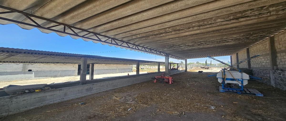 Foto de terreno comercial en venta en  , el daxtha, actopan, hidalgo, 28110570 No. 05