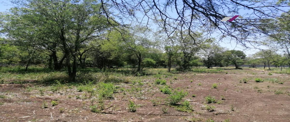 Foto de terreno habitacional en venta en  , el desagüe, montemorelos, nuevo león, 0 No. 04