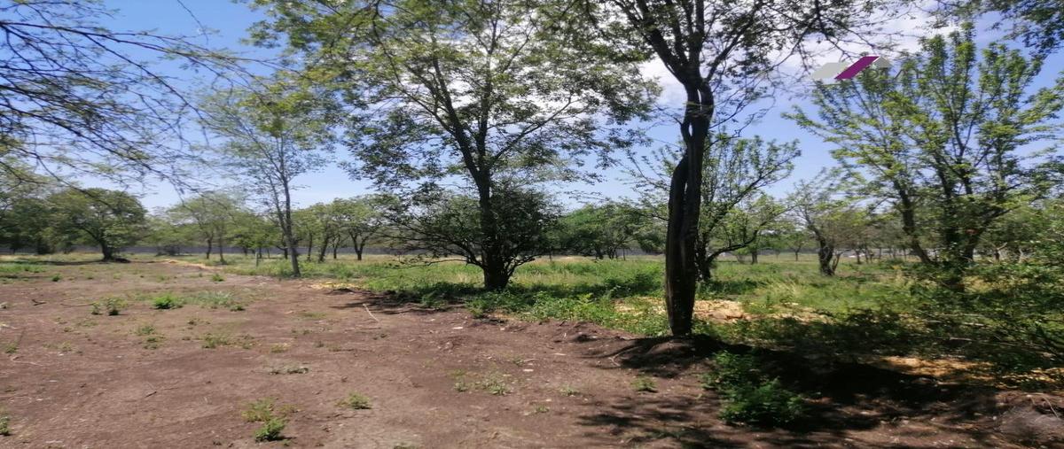 Foto de terreno habitacional en venta en  , el desagüe, montemorelos, nuevo león, 0 No. 05