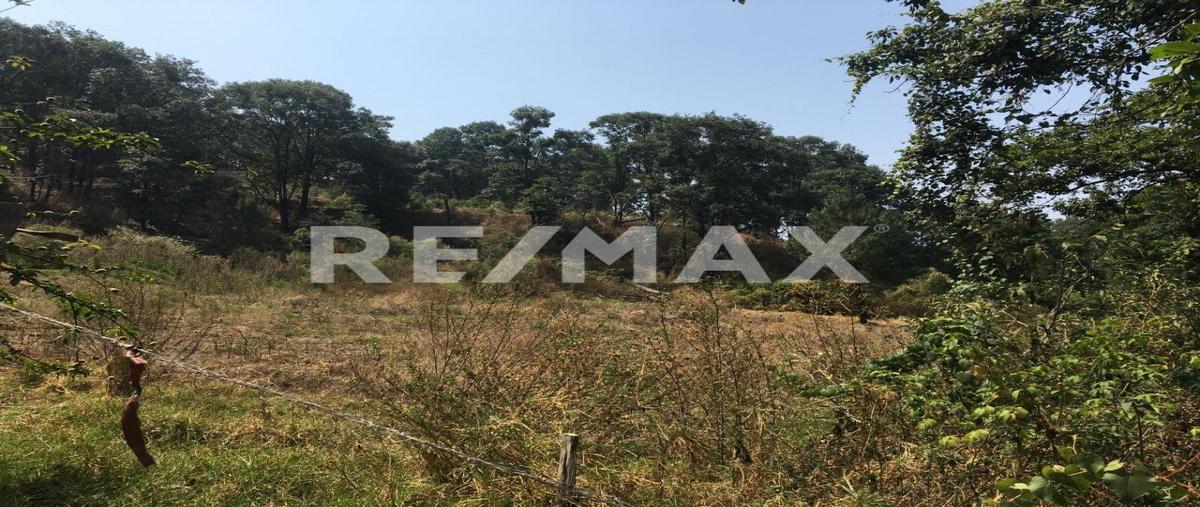 Foto de terreno habitacional en el desarenador , zacango, villa guerrero, méxico, 0 foto 01 Foto de terreno habitacional en venta en el desarenador , zacango, villa guerrero, méxico, 0 No. 01