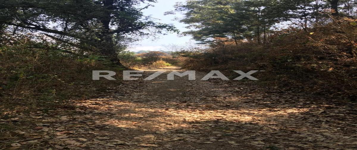 Foto de terreno habitacional en el desarenador , zacango, villa guerrero, méxico, 0 foto 02 Foto de terreno habitacional en venta en el desarenador , zacango, villa guerrero, méxico, 0 No. 02