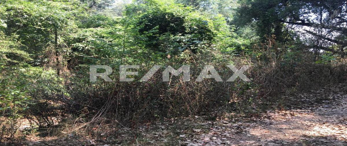 Foto de terreno habitacional en el desarenador , zacango, villa guerrero, méxico, 0 foto 03 Foto de terreno habitacional en venta en el desarenador , zacango, villa guerrero, méxico, 0 No. 03