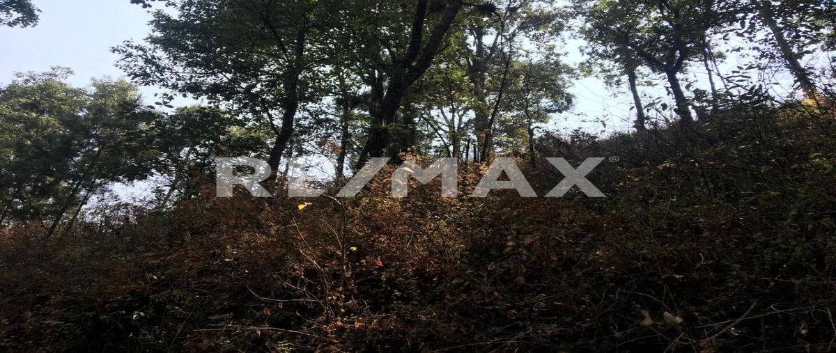 Foto de terreno habitacional en el desarenador , zacango, villa guerrero, méxico, 0 foto 04 Foto de terreno habitacional en venta en el desarenador , zacango, villa guerrero, méxico, 0 No. 04