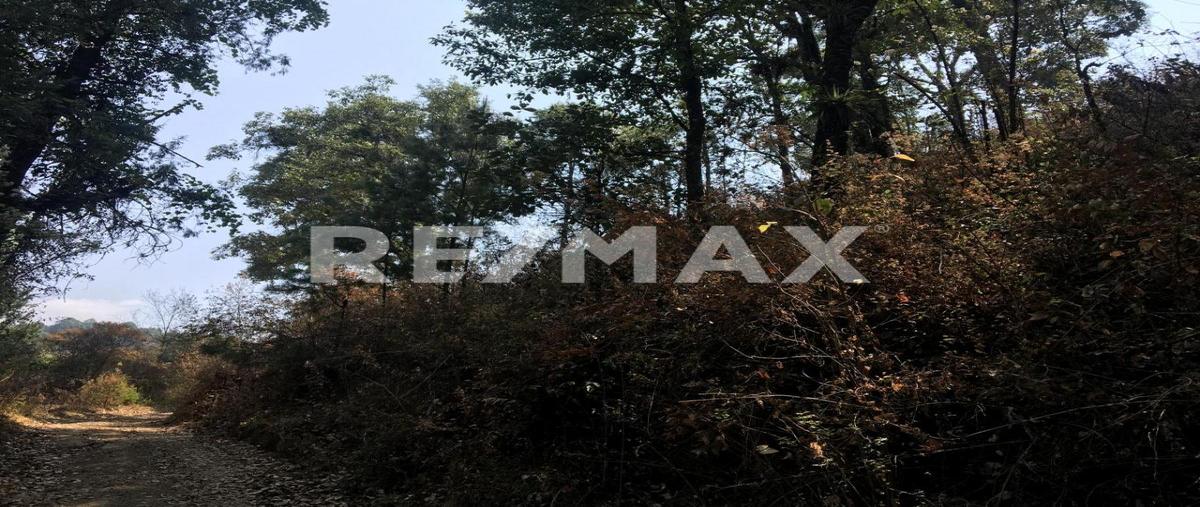 Foto de terreno habitacional en el desarenador , zacango, villa guerrero, méxico, 0 foto 05 Foto de terreno habitacional en venta en el desarenador , zacango, villa guerrero, méxico, 0 No. 05