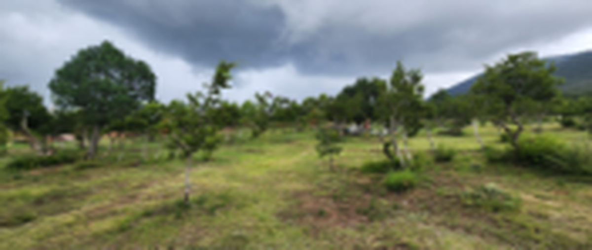 Foto de terreno habitacional en venta en  , el diamante, arteaga, coahuila de zaragoza, 29397865 No. 03