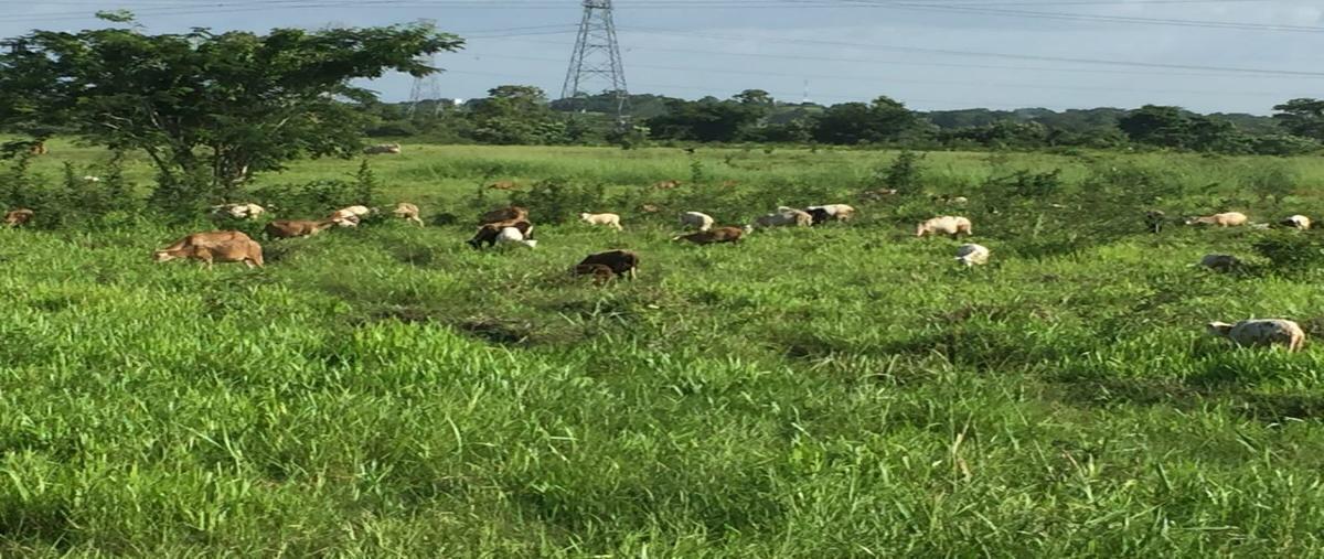 Foto de rancho en venta en el dorado , el dorado, carmen, campeche, 0 No. 03
