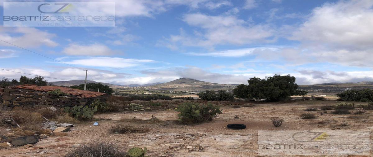Foto de terreno habitacional en venta en  , el durazno, san agustín tlaxiaca, hidalgo, 27397082 No. 04