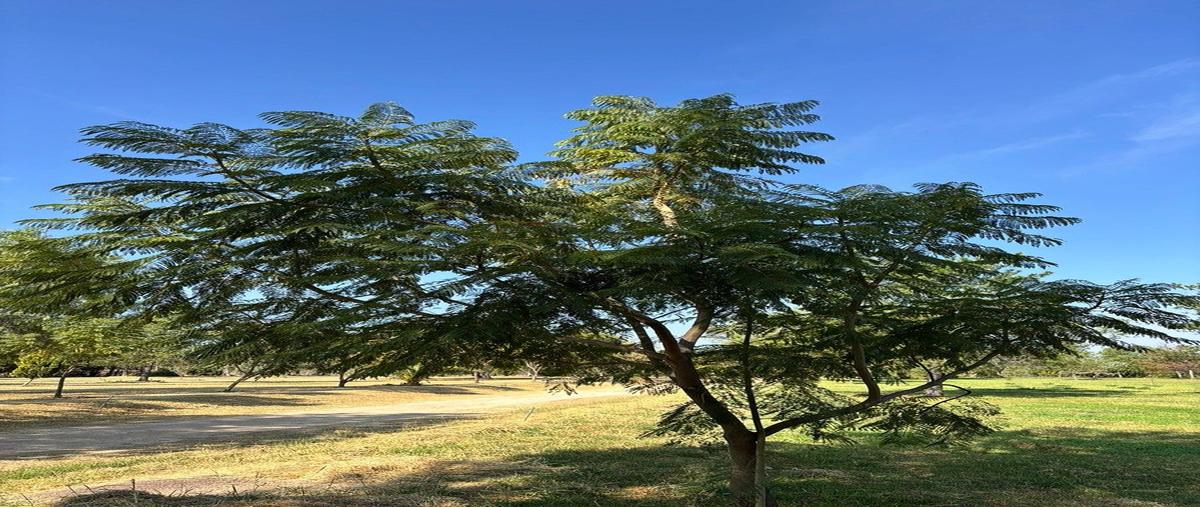 Foto de terreno habitacional en venta en  , el edén, aguascalientes, aguascalientes, 0 No. 03