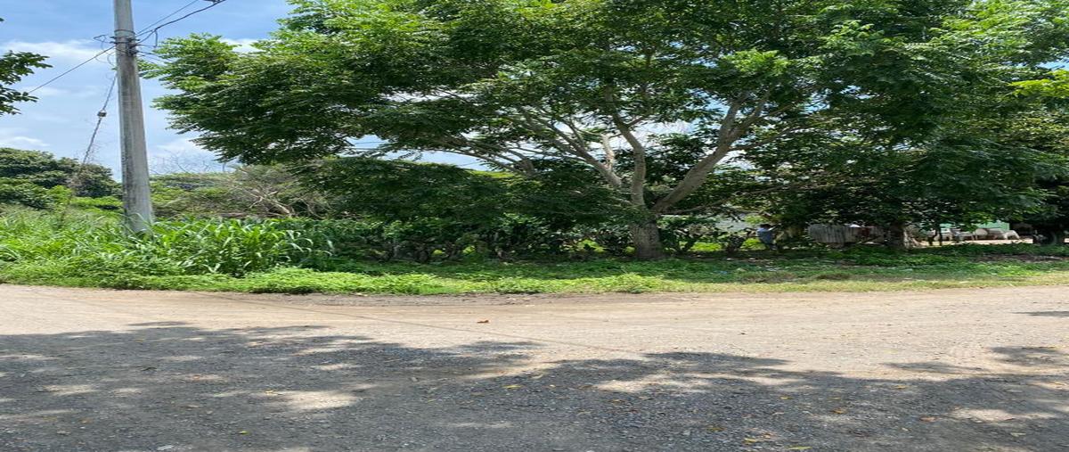 Foto de terreno habitacional en venta en  , el embudo, jamapa, veracruz de ignacio de la llave, 25529939 No. 05