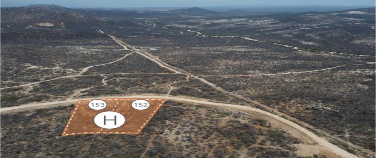 Foto de terreno comercial en venta en  , el encanto de la laguna, los cabos, baja california sur, 0 No. 03