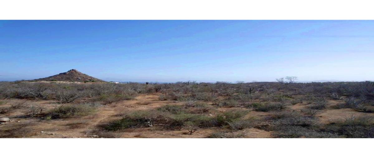 Foto de terreno comercial en venta en  , el encanto de la laguna, los cabos, baja california sur, 0 No. 05
