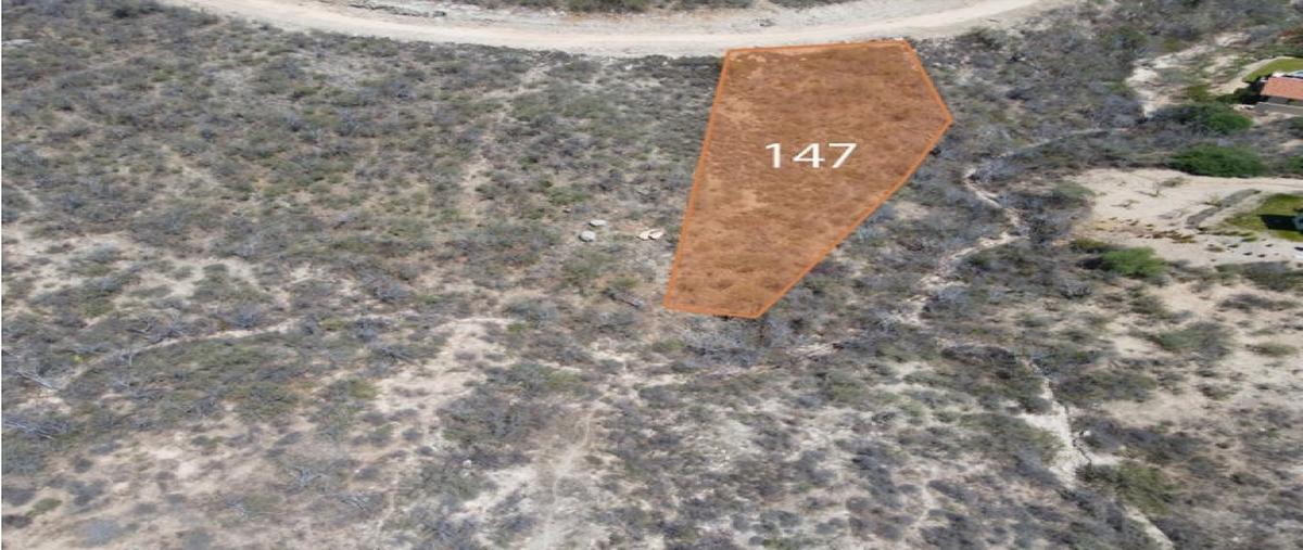 Foto de terreno comercial en venta en  , el encanto de la laguna, los cabos, baja california sur, 0 No. 03