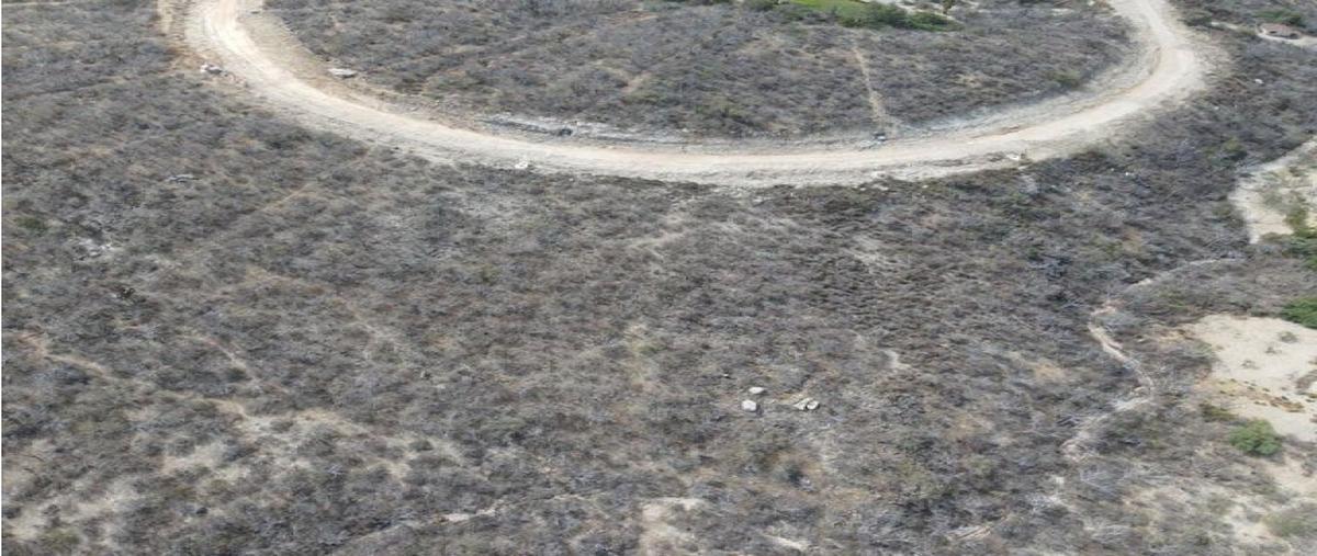 Foto de terreno comercial en venta en  , el encanto de la laguna, los cabos, baja california sur, 27953079 No. 04