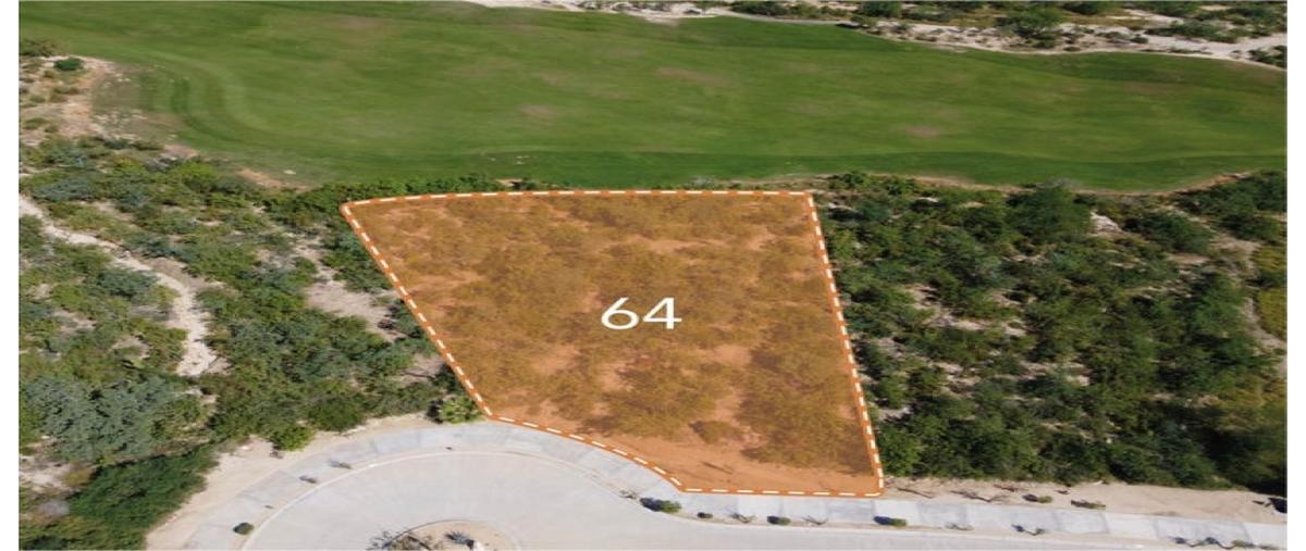 Foto de terreno comercial en venta en  , el encanto de la laguna, los cabos, baja california sur, 0 No. 05