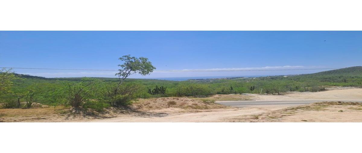 Foto de terreno comercial en venta en  , el encanto de la laguna, los cabos, baja california sur, 0 No. 04
