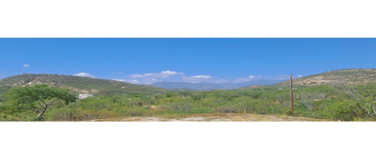 Foto de terreno comercial en venta en  , el encanto de la laguna, los cabos, baja california sur, 0 No. 05