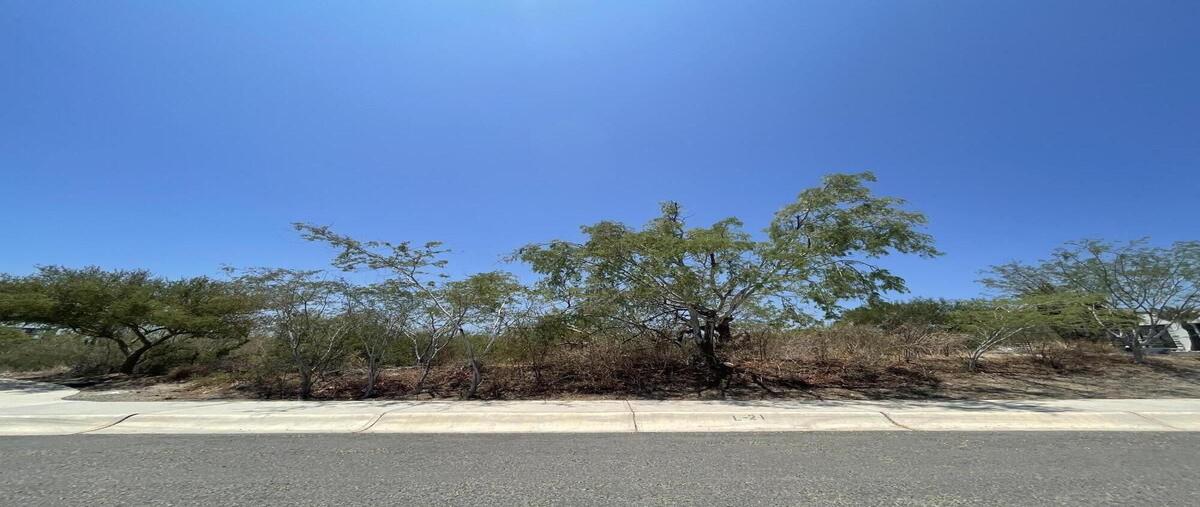 Foto de terreno habitacional en venta en  , el encanto de la laguna, los cabos, baja california sur, 0 No. 04