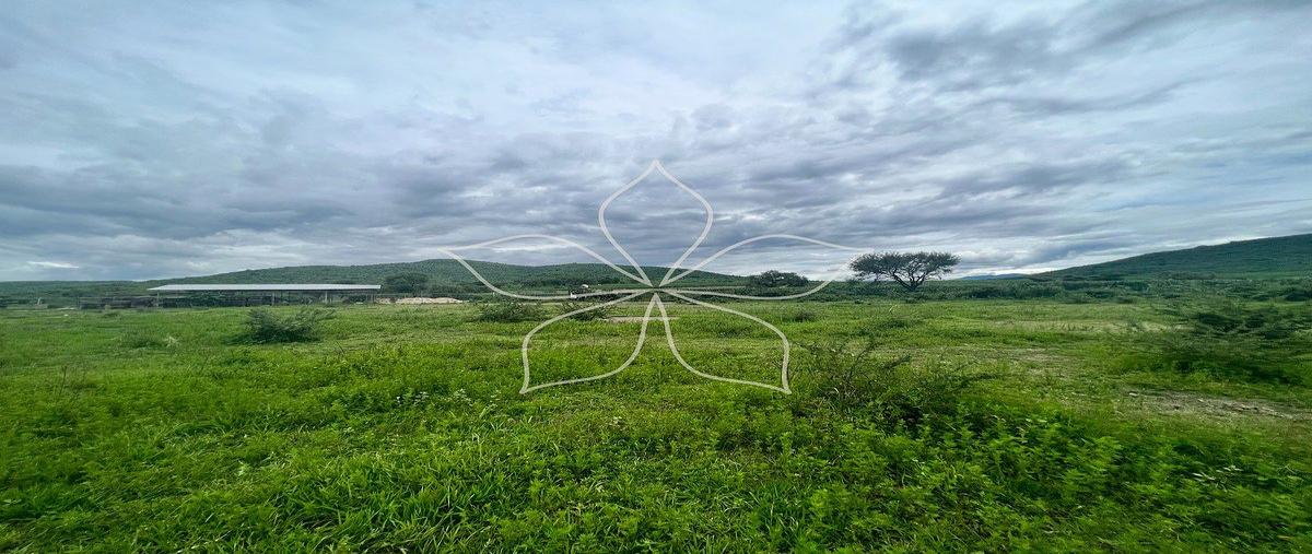 Foto de terreno habitacional en el encanto paseo lago , tapalpa, tapalpa, jalisco, 30885976 foto 03 Foto de terreno habitacional en venta en el encanto paseo lago , tapalpa, tapalpa, jalisco, 30885976 No. 03