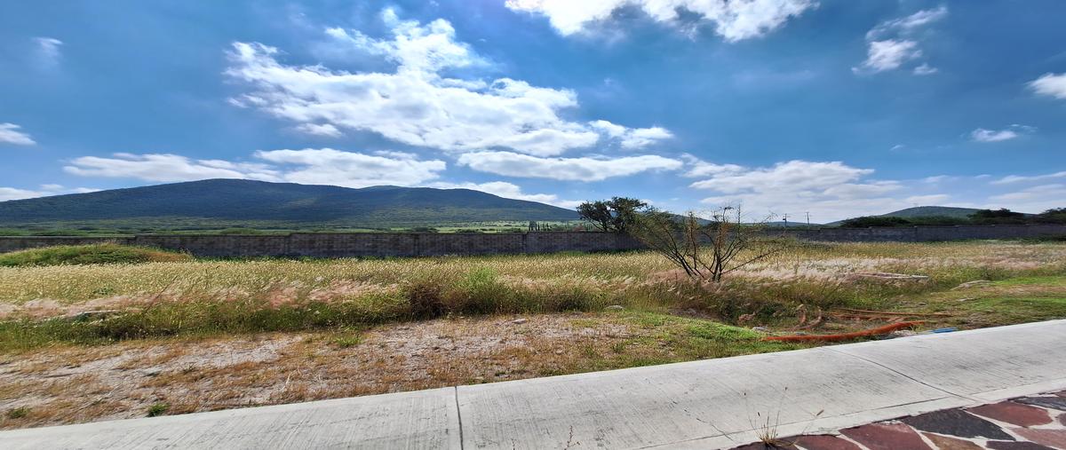 Foto de terreno habitacional en venta en el encino , cumbres del cimatario, huimilpan, querétaro, 27067092 No. 05