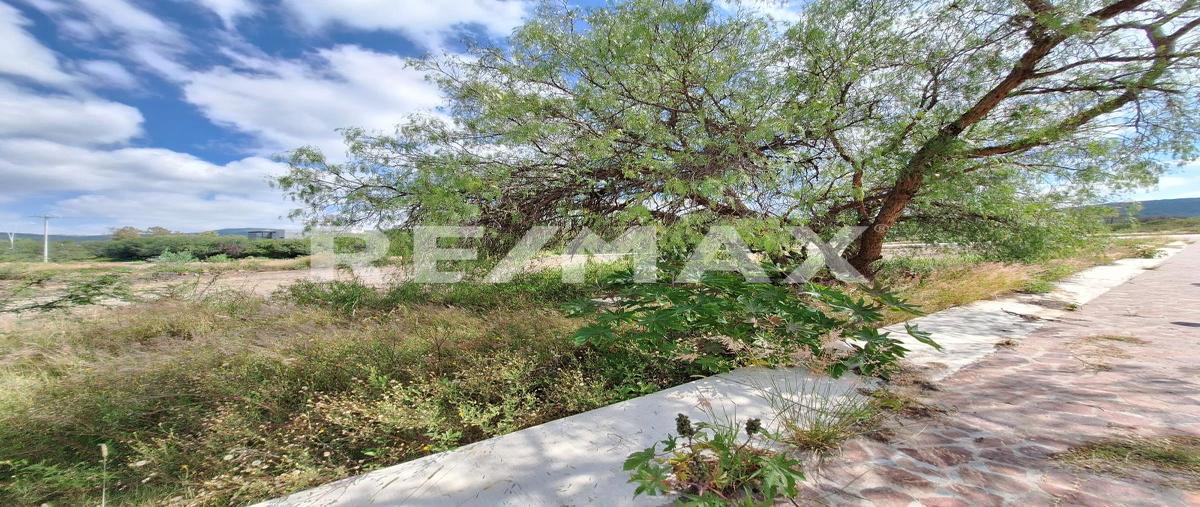 Foto de terreno habitacional en venta en el encino , cumbres del cimatario, huimilpan, querétaro, 27856805 No. 05